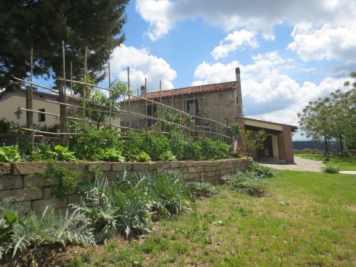 Agriturismo L'Alba รอคเคสตราดา ภายนอก รูปภาพ